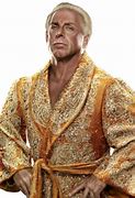 Image result for Ric Flair Championship