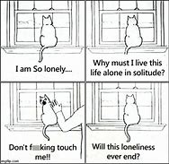 Image result for Alone Cat Meme