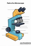 Image result for Microscope Parts for Kids