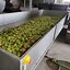 Image result for Commercial Apple Press
