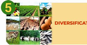 Image result for Farm Diversification