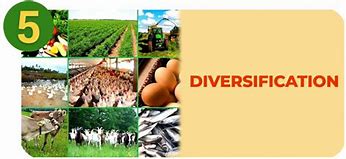Image result for Diversification Agriculture