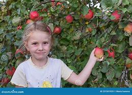 Image result for Double Delicious Apple Tree