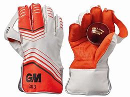 Image result for Cricket Wicketkeeper Gloves
