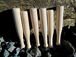 Image result for Wood D*Cks North Carolina Mini Baseball Bat