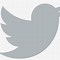 Image result for White Transparent Twitter Logo Icon