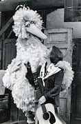 Image result for Sesame Street Judy Collins