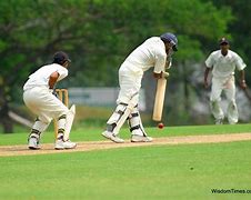 Image result for Cricket Sport