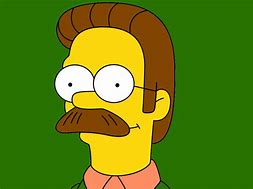 Image result for Ned Flanders in Real Life