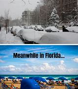 Image result for Florida Winter Funny Cartoons