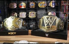 Image result for WWE Championship Case
