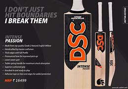 Image result for DSC Cricket Bats White