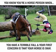Image result for Silly Horse Quotes