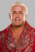 Image result for WWE Ric Flair Render