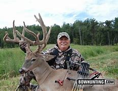 Image result for Stan Potts Whitetail