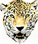 Image result for Snow Leopard Screensavers