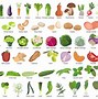 Image result for Healthy Food for Drawing