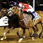 Image result for Horse Racing Night