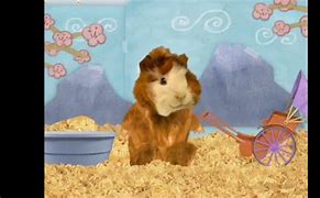 Image result for Wonder Pets Phone Ringing Theme Song