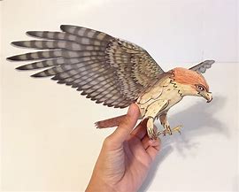 Image result for Printable 3D Paper Bird