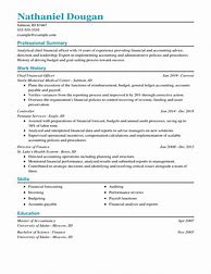 Image result for CFO Resume Examples