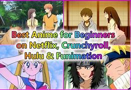 Image result for Anime for Beginners FUNimation