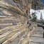 Image result for Inside Monastery Amorgos Island Greece