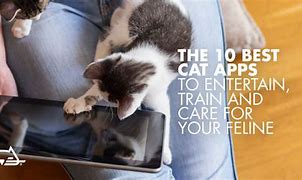 Image result for Blue with a Cat App