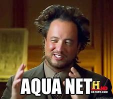 Image result for Aqua Net Meme