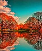 Image result for Brilliant Trees