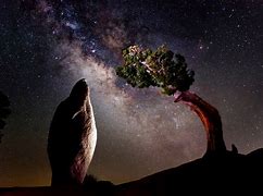 Image result for Joshua Tree Milky Way