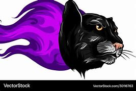 Image result for Black Panther Attack Drawing