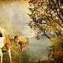 Image result for Horse Painting Artwork