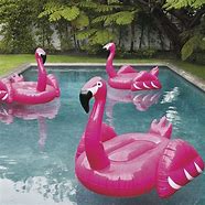 Image result for Old Lady in Pink Flamingo Pool Float