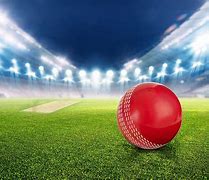 Image result for Cricket Stadiums Near Me
