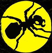 Image result for Ant Trail The Prodigy CD Art
