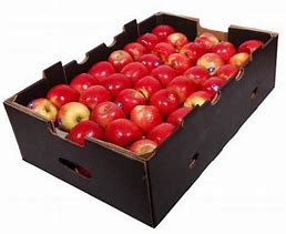 Image result for Apple Inside a Box Top Angle