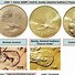 Image result for United States Dollar Coin Value
