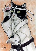 Image result for Cat Karate Costume