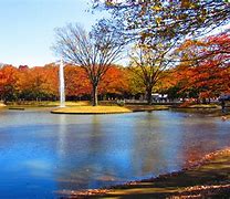 Image result for Andayan Yoyogi Park