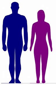 Image result for 20 Cm Compared to Human