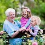 Image result for Elder Care Royalty Free Images