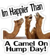 Image result for Clean Hump Day Memes