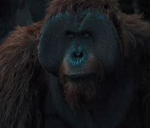 Image result for Maurice Planet of the Apes