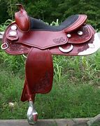 Image result for Anatomy of a Horse Saddle