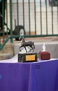 Image result for Warm Heart Breeders' Cup