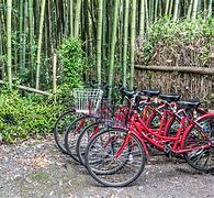 Image result for Japan Bicycle