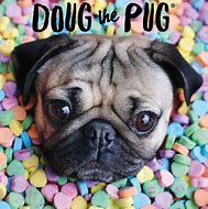 Image result for Doug the Pug Wallpaper