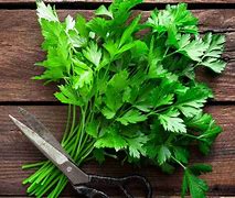 Image result for Parsley Photo