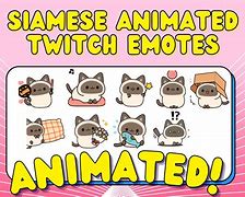 Image result for Siamese Cat Emotes
